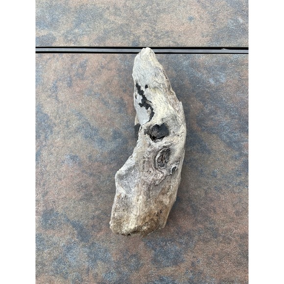 Natural Driftwood for Plants Terrarium Taxidermy Art Projects - Picture 2 of 5